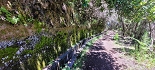 Plants: image 51 Of 208 Thumb